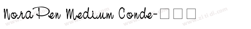 NoraPen Medium Conde字体转换